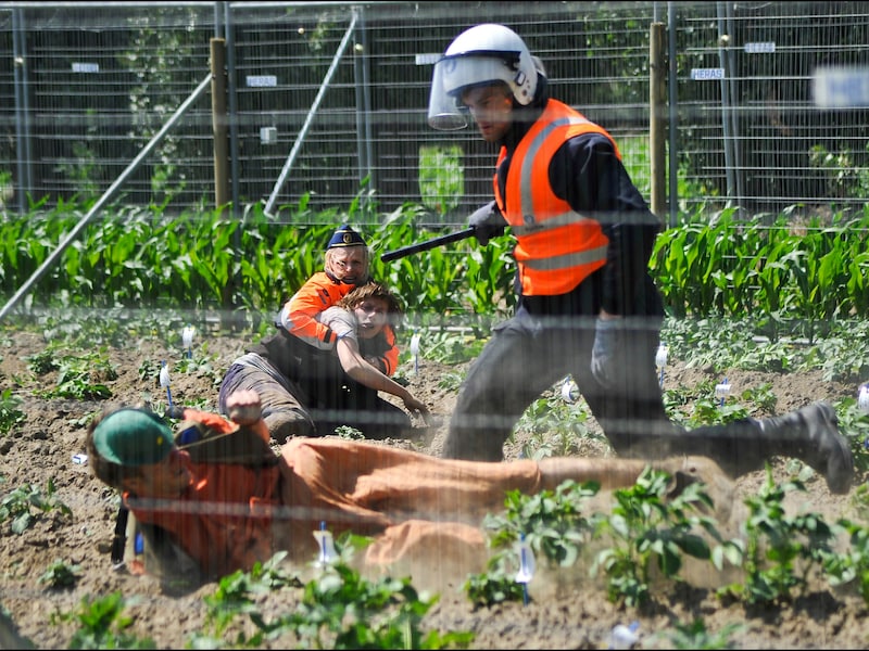 Field Liberation Movement vernielde vorig jaar in mei een veld met genetisch gemodificieerde ggo-aardappelen.
