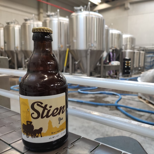 Stien IPA.