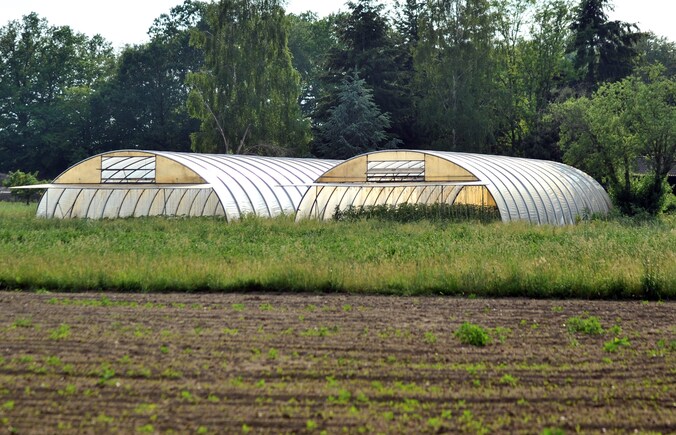 Het bewuste tuinbouwbedrijf in het Duitse Uelzen.