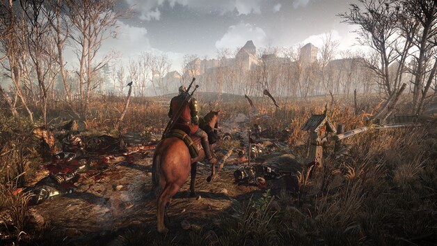 Op schok in 'The Witcher III'.