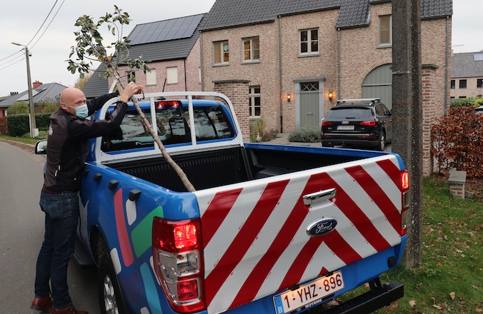 Inwoners van Beerse en Vlimmeren kunnen gratis boom bestellen | Regio ...