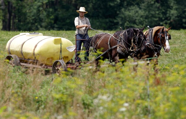 'Farmville' vinden de Amish om logische redenen maar een stom spelletje.