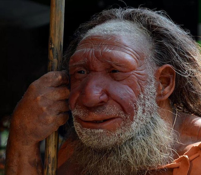 Reconstructie van een neanderthaler in een Duits museum.