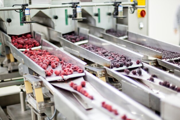 Bevroren bessen worden verwerkt in de voedingsfabriek. Wist jij dat je 'verse' fruitsla vruchten kan bevatten die maanden geleden bevroren in de voedingsfabriek zijn aangekomen, een zuurbad hebben gekregen of behandeld zijn met strooizout?