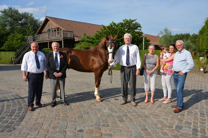 Hulde aan gesneuvelde paarden uit WO I | Regio | HLN.be
