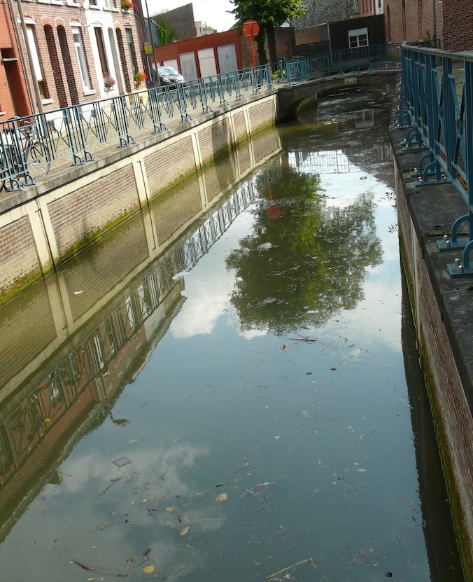 Vissen sterven in vervuilde Gete | Regio | HLN.be