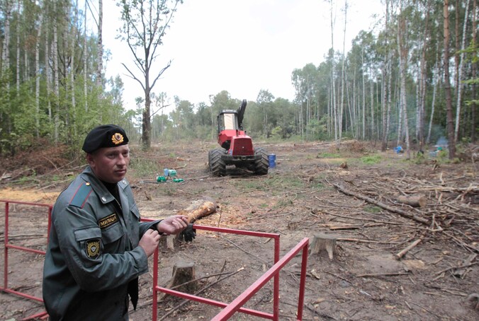 Een politieman kijkt toe terwijl een bos - hier legaal - geveld wordt in Rusland.