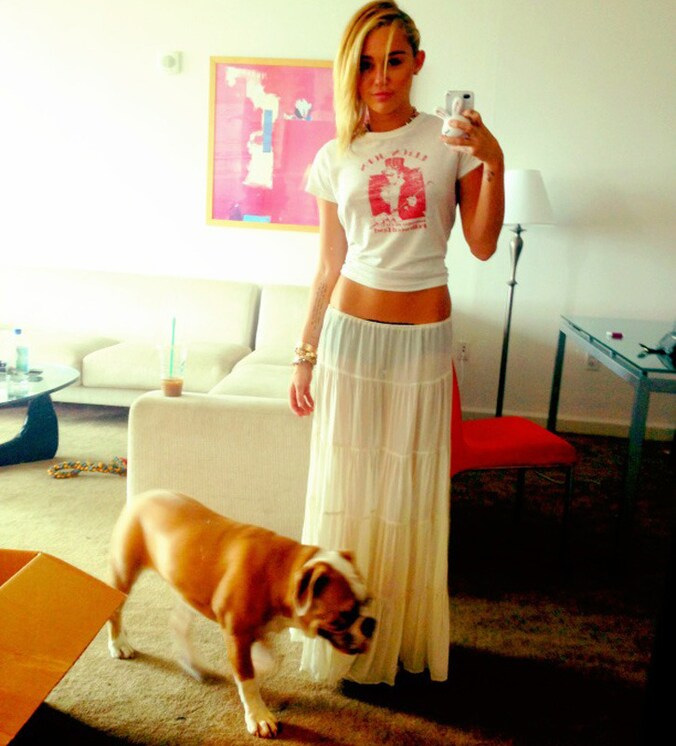 Sorry Ziggy (hond), maar Miley's buik is strakker. © Twitter