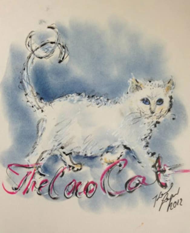 De schets van Choupette door Lagerfeld.