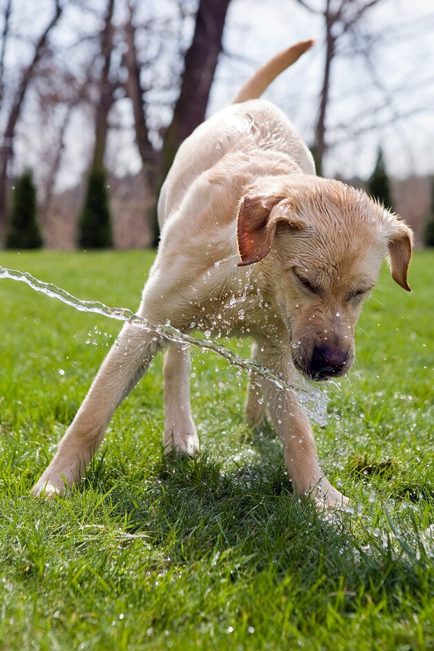 Water is een van de belangrijkste dingen tijdens de hitte
