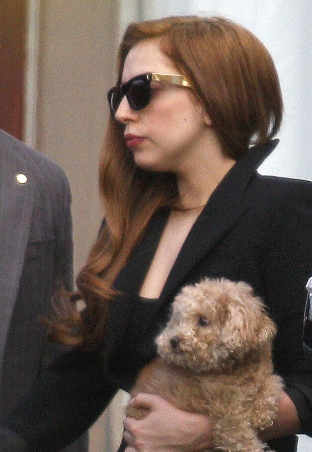 Gaga gaat voortaan als 'Louis Vuitton'-brunette door het leven.