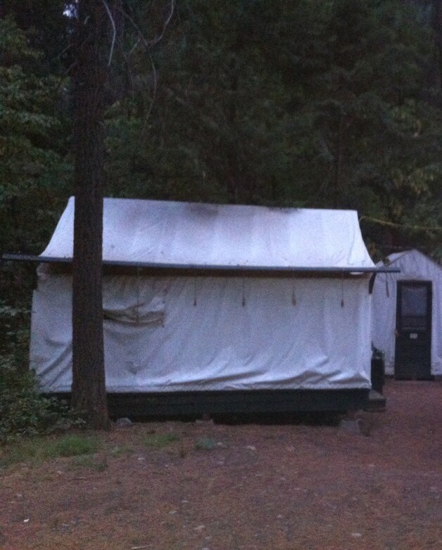 Onze tent. Kwamen ze tot hier, de muizen met hun killervirus?