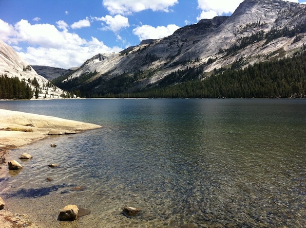 Het prachtige natuurpark dat Yosemite is.