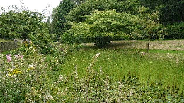 In het Kreftenbroeck-arboretum moet je eerst een afspraak maken.