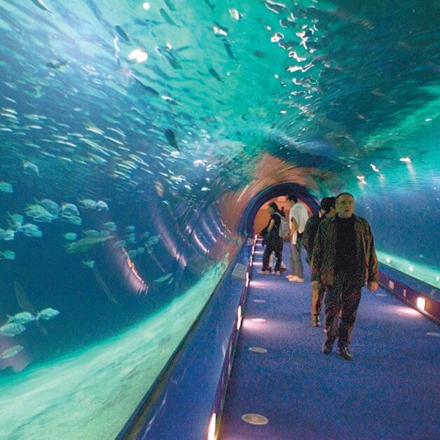 Oceanográfic Valencia