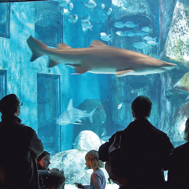 Sea Life Londen