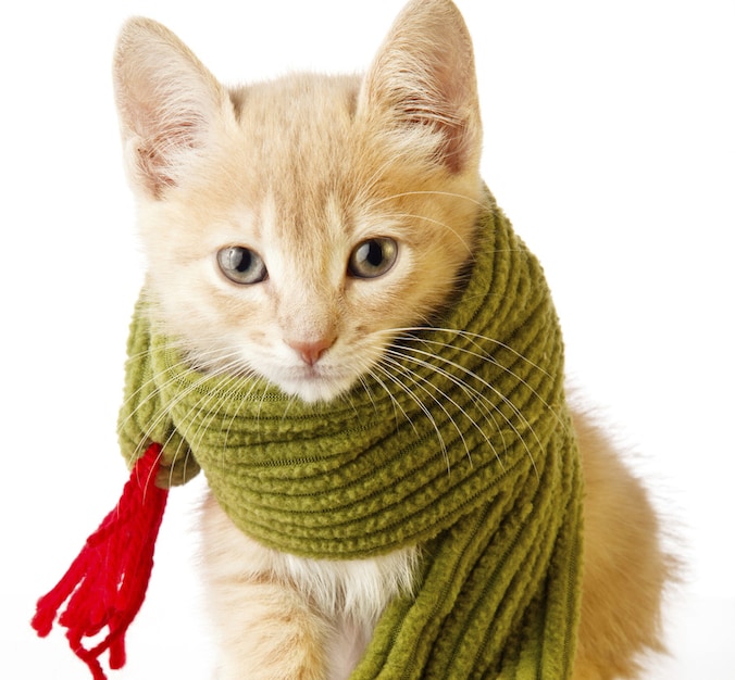 © Thinkstock.