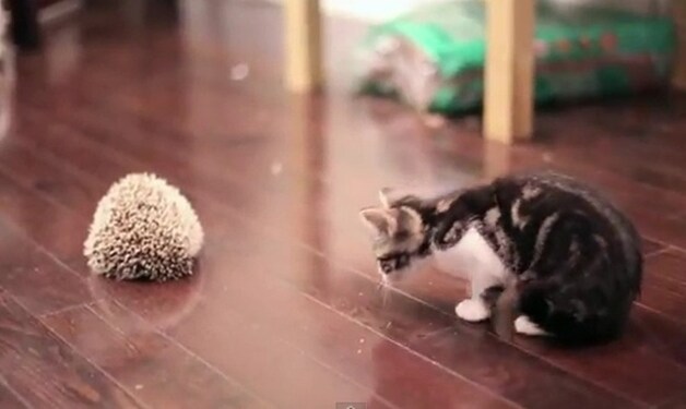 © Videostill YouTube.