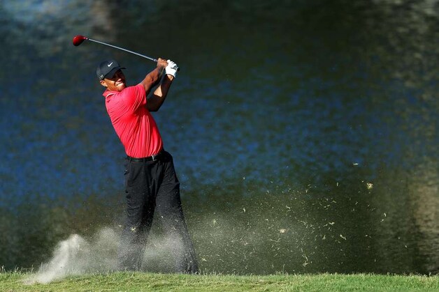 Golfer Tiger Woods