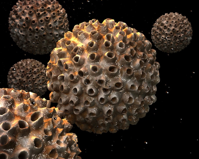 Het humaan papillomavirus.