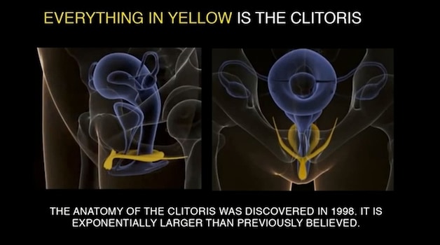 De clitoris is meer dan een "knopje".