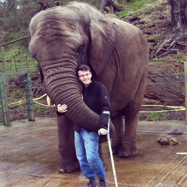 Stephen wilde graag eens met een olifant knuffelen.