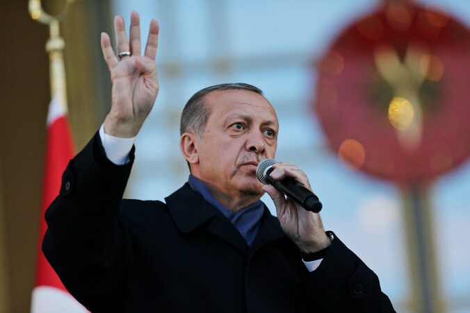 De Turkse president Recep Tayyip Erdogan wist zondag in een referendum een nipte meerderheid van de kiezers achter een uitbreiding van de presidentiële bevoegdheden te scharen.