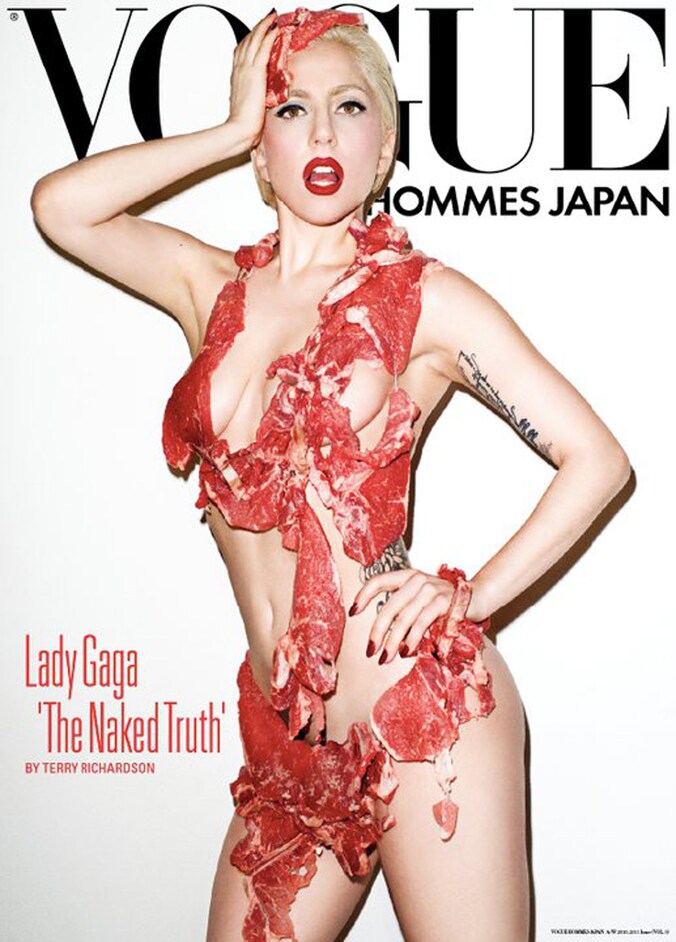 Gaga werkte eerder met Terry Richardson samen voor een fotoboek met deze cover.