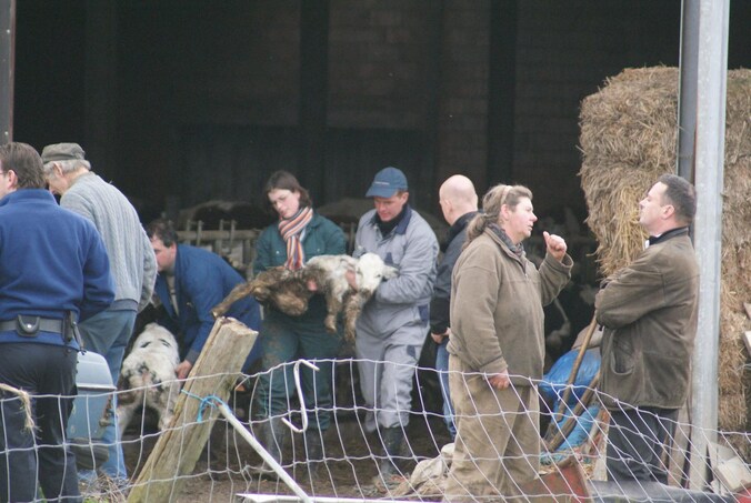 Beeld van één van de inbeslagnames op de boerderij in Pepingen.