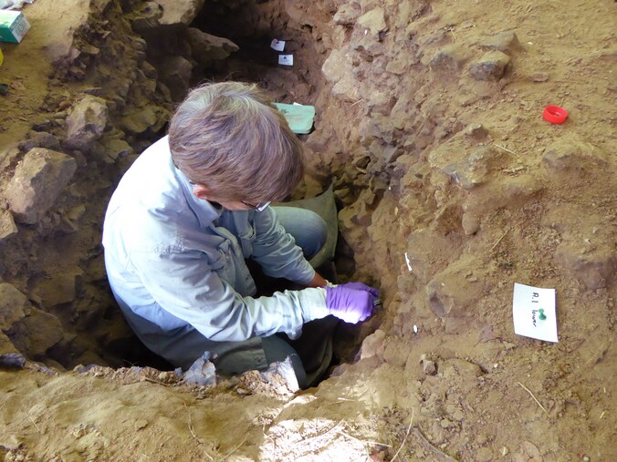Een onderzoeker neemt stalen in de Belgische grot Trou Al'Wesse.