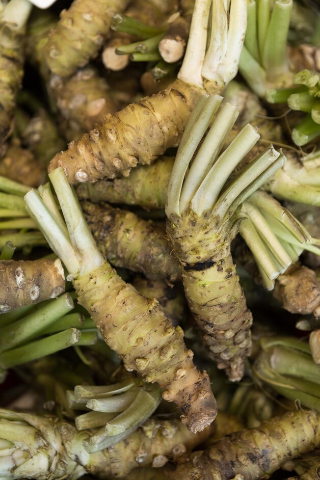 Echte wasabi.