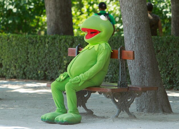 Ook voor Kermit de Kikker is het warm, hier in Madrid.