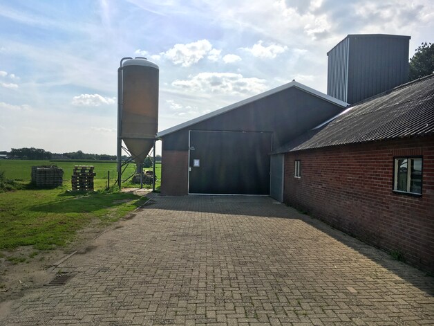 De bedrijfsloods van Chickfriend.