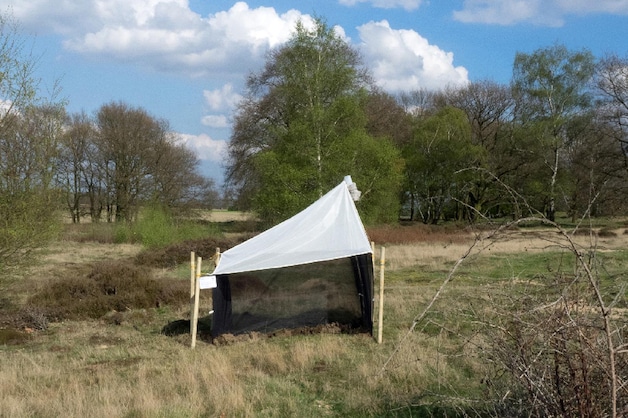 Een van de vallen in een Duits natuurgebied.