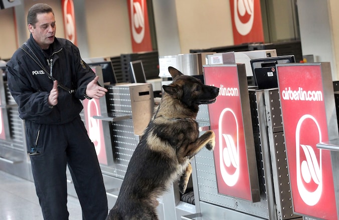 Een politiehond zoekt naar explosieven op de luchthaven van het Duitse Düsseldorf.