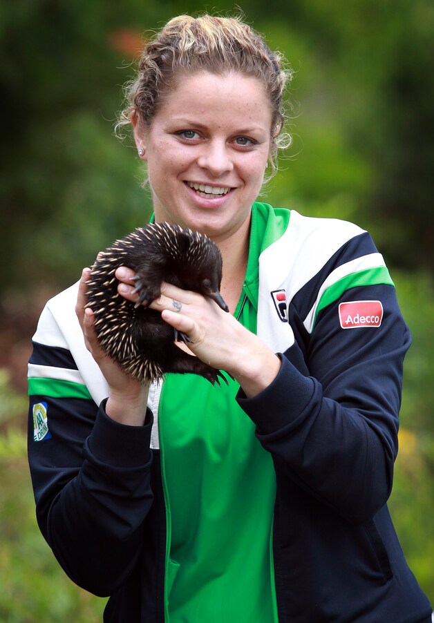 Kim Clijsters met een gewone vachtegel (met kortere bek) in Melbourne.