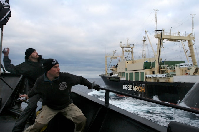 Al jarenlang voert de mariene milieuorganisatie Sea Shepherd actie tegen de Japanse walvisjacht. Hier gooien ze flessen zuur naar het fabrieksschip Nisshin Maru.