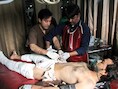 IS claimt bloederige aanslagen in Afghanistan, Pakistan en Libië