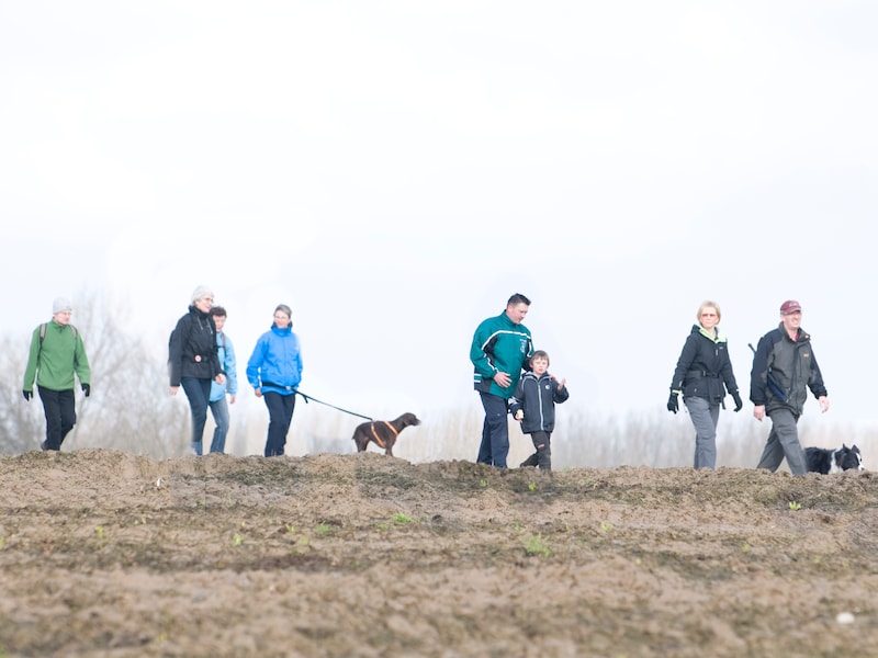 Hondenwandeling stopt voor hapje en goodiebag bij Boelies
