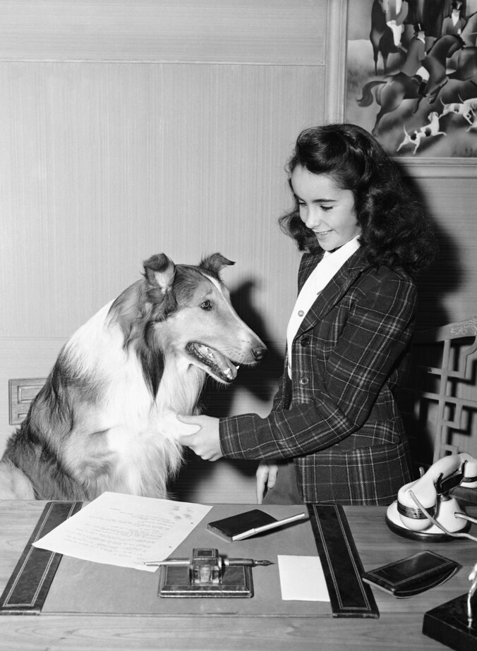 Lassie en Elizabeth Taylor in de film 'Lassie Come Home' uit 1943.