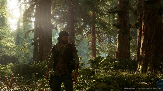 Beeld uit de indrukwekkende game 'Days Gone'.