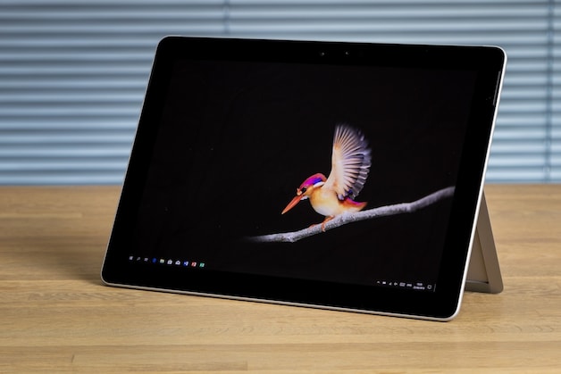 De Surface Go