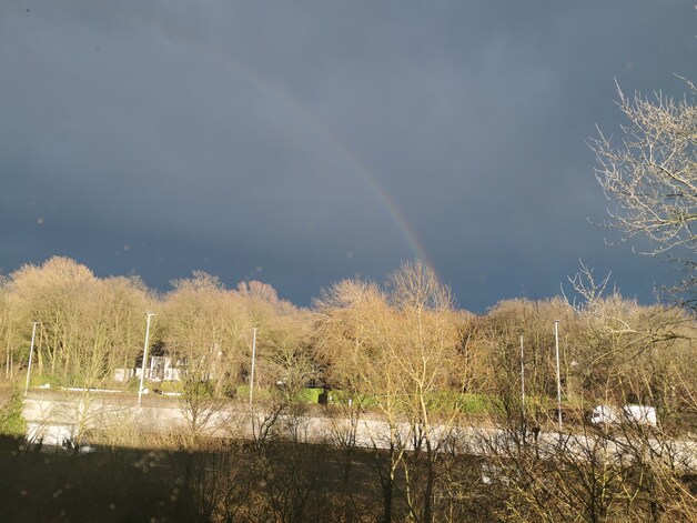 Regenboog in Aartselaar.
