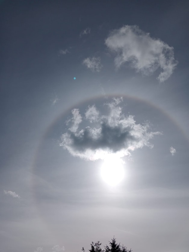 De halo in Lievegem.