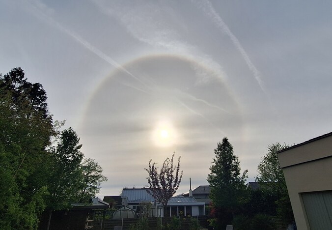 Halo in Deinze.