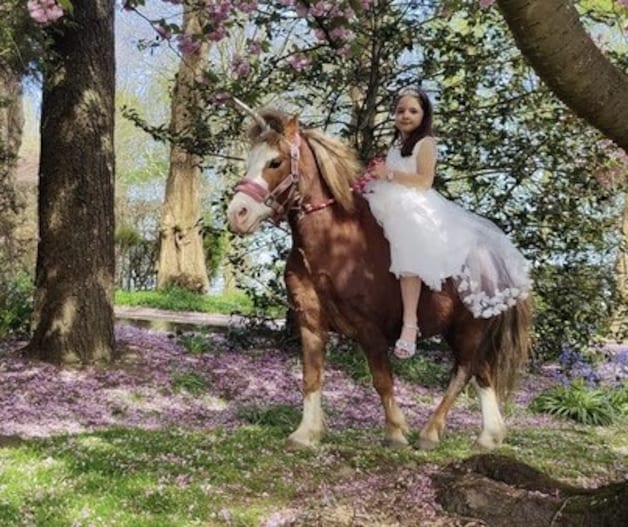 De ouders van Renske organiseren en unicorn-tuinfeest. 