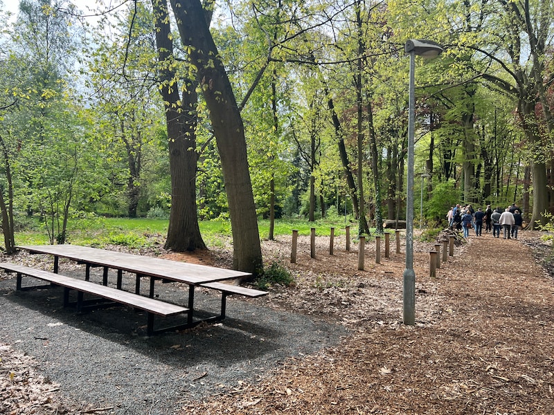 Aarschot sluit Stadspark en Park Elzenhof tijdens stormachtig weekend