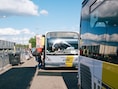 Keren de pendelbussen voor Graspop terug in 2027? Oppositie legt voorstel op tafel