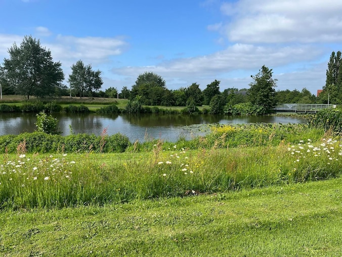 Het Foodtruckfestival in Wingene vindt plaats aan de vijver van sportpark De Tuimelaar.