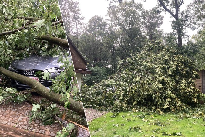 Boom valt op Audi in Westmalle.